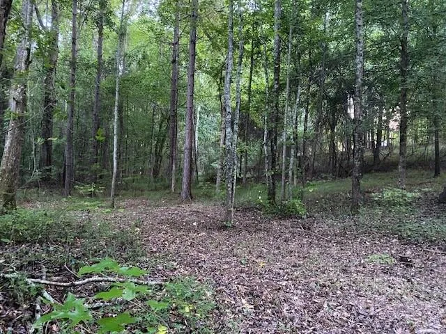 944 Muscovy Lane Winder, GA 30680
