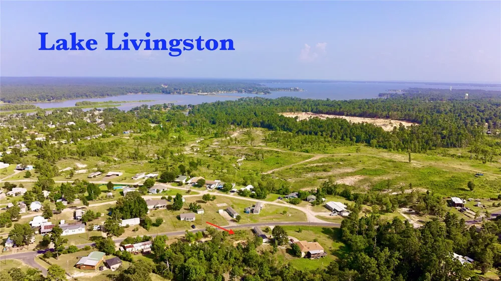 619 Yaupon Cove Drive Onalaska, TX 77360