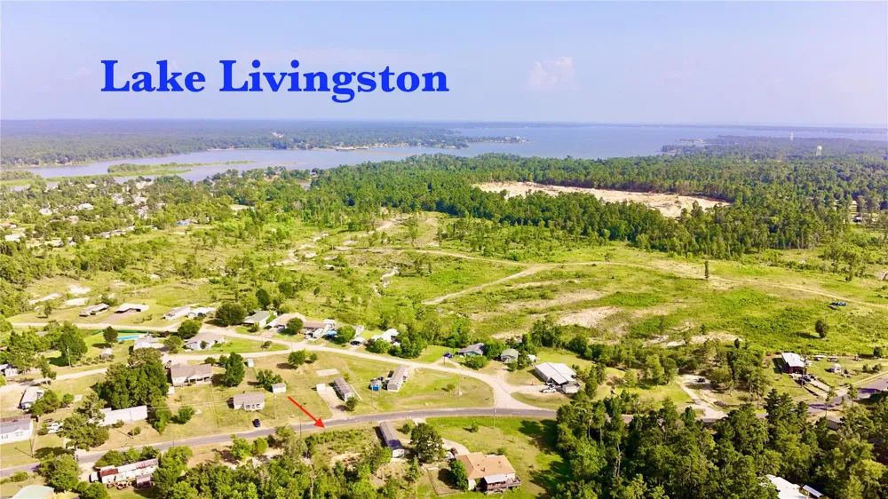 619 Yaupon Cove Drive Onalaska, TX 77360