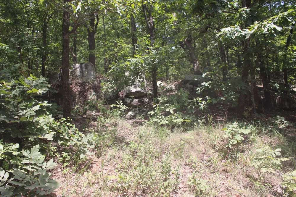 Buffalo Mountain Rd. Talihina, OK 74571