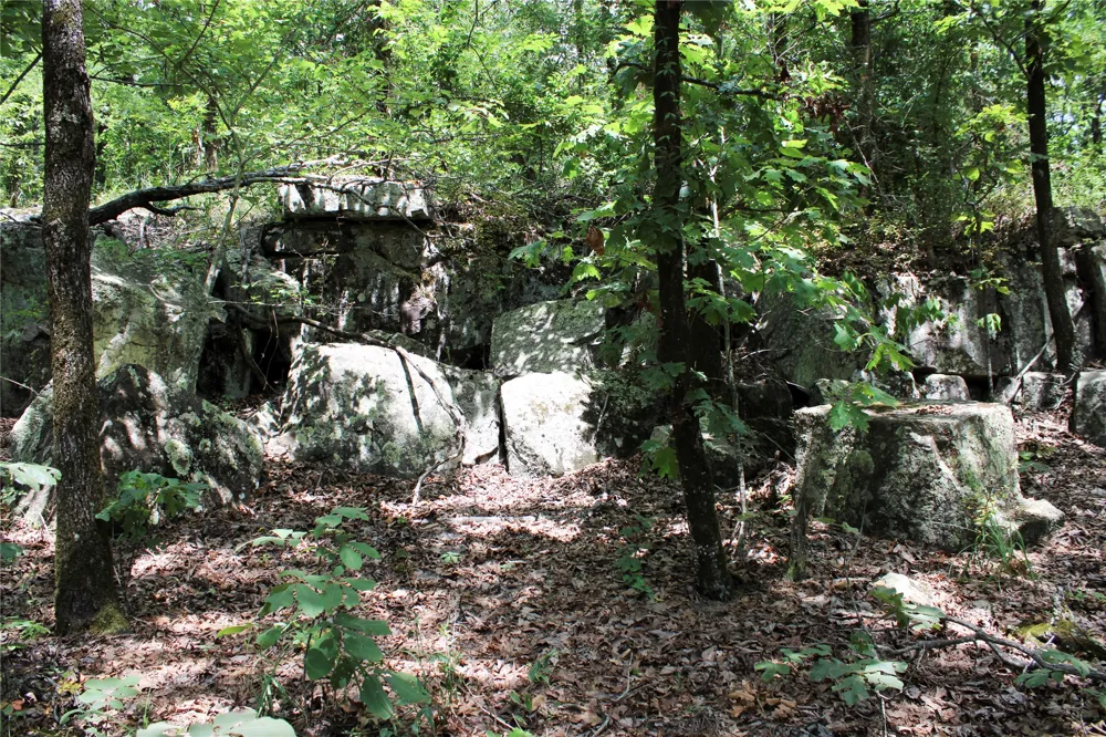 Buffalo Mountain Rd. Talihina, OK 74571