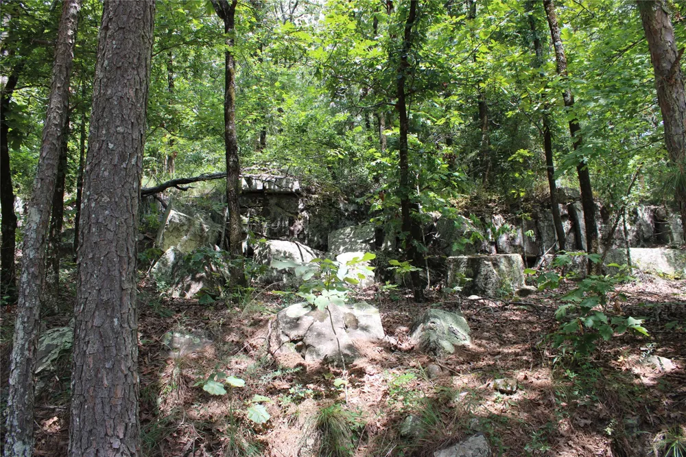 Buffalo Mountain Rd. Talihina, OK 74571