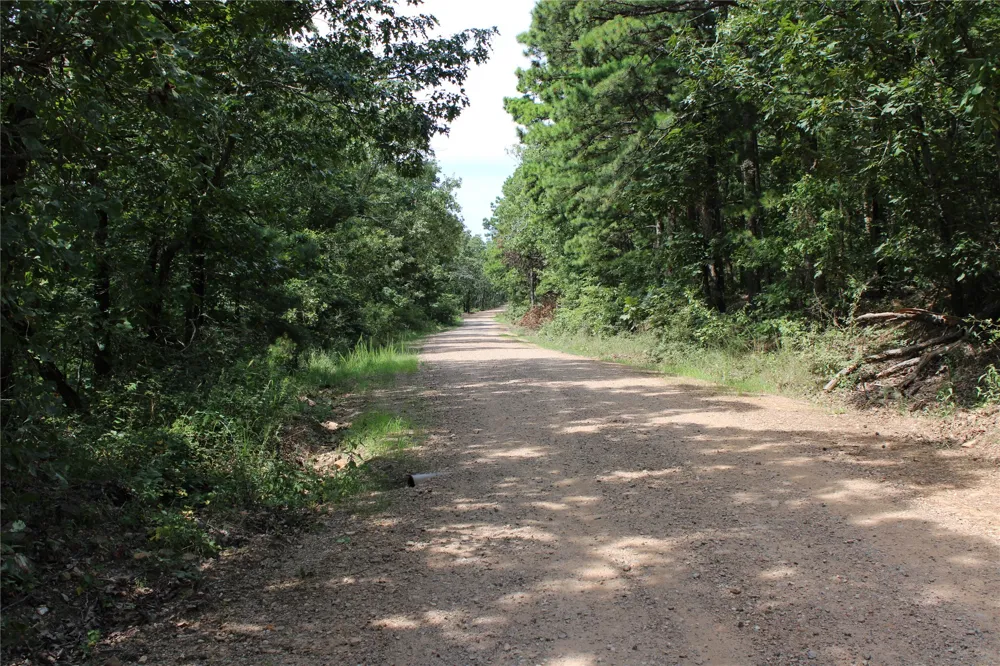 Buffalo Mountain Rd. Talihina, OK 74571