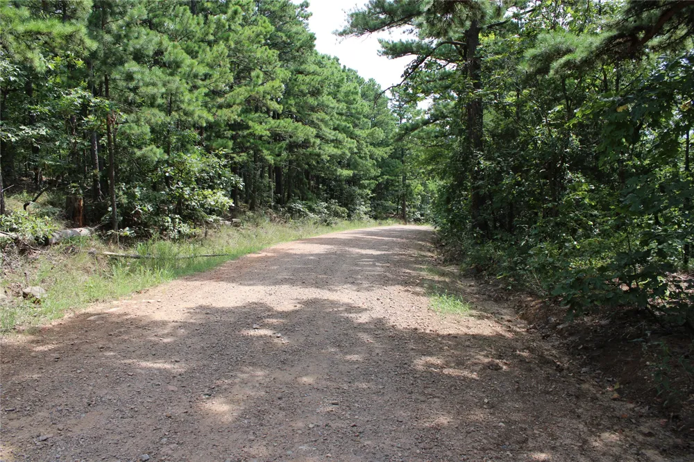 Buffalo Mountain Rd. Talihina, OK 74571