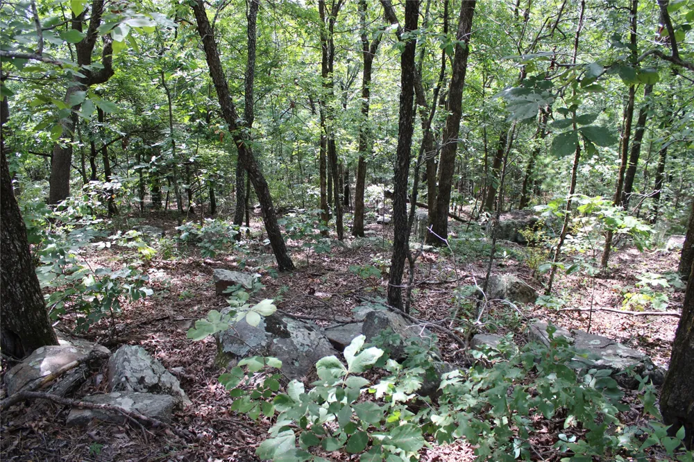 Buffalo Mountain Rd. Talihina, OK 74571