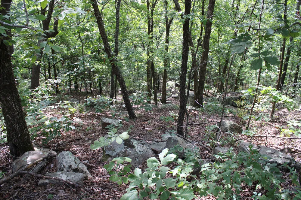 Buffalo Mountain Rd. Talihina, OK 74571