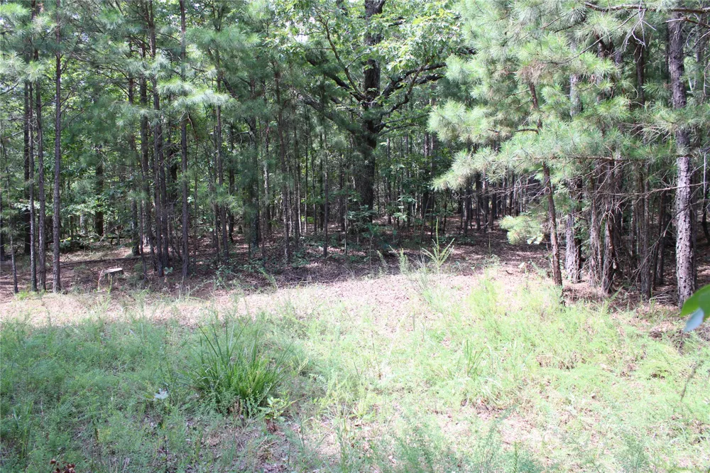 Buffalo Mountain Rd. Talihina, OK 74571