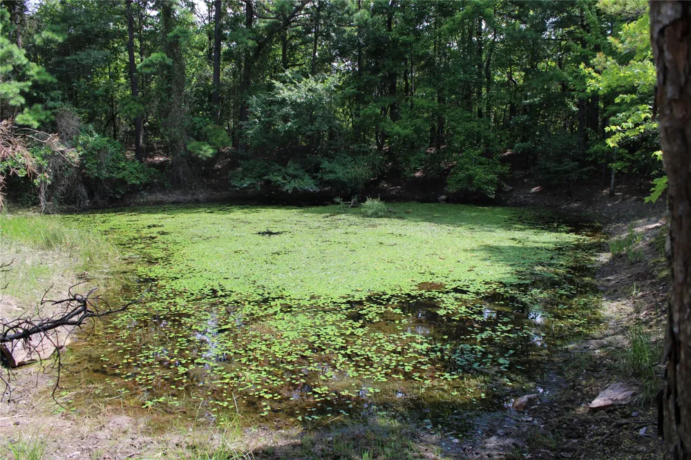 Buffalo Mountain Rd. Talihina, OK 74571