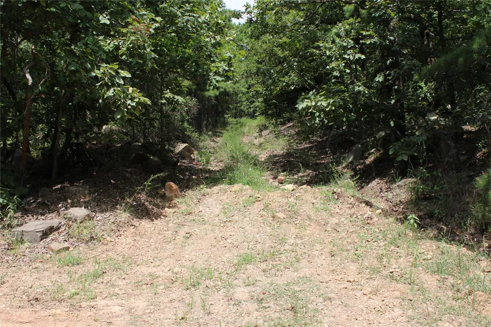 Buffalo Mountain Rd. Talihina, OK 74571