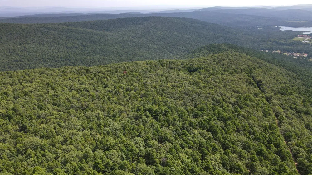 Buffalo Mountain Rd. Talihina, OK 74571