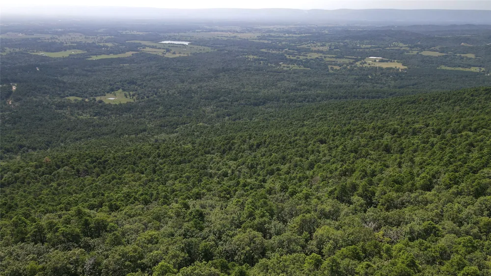 Buffalo Mountain Rd. Talihina, OK 74571