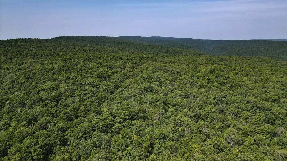 Buffalo Mountain Rd. Talihina, OK 74571