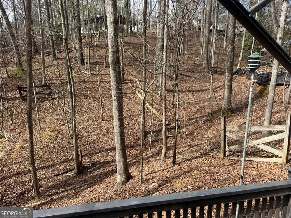 532 10th ST Ellijay, GA 30540