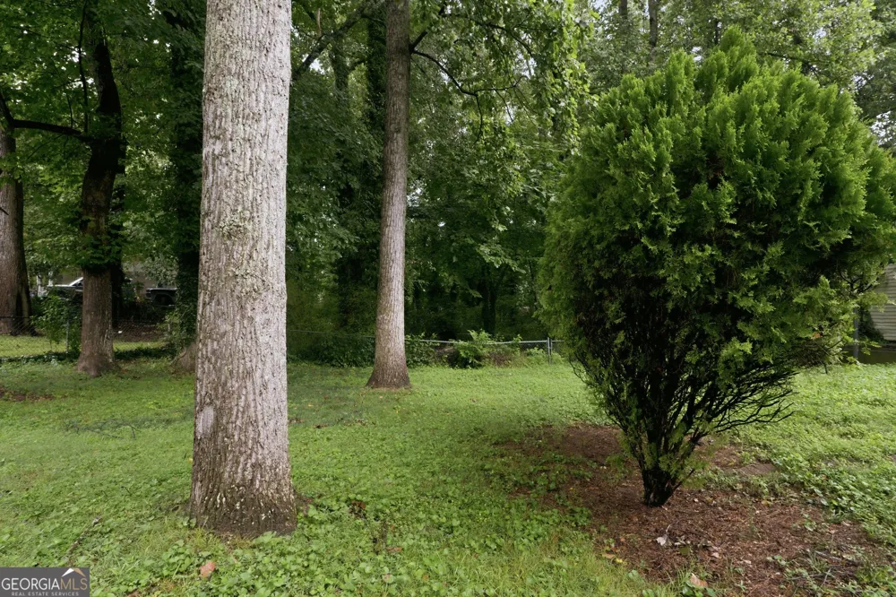 2162 Chestnut PL Lithia Springs, GA 30122