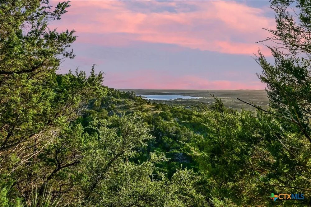 1151 Eagle Point Drive Fischer, TX 78623