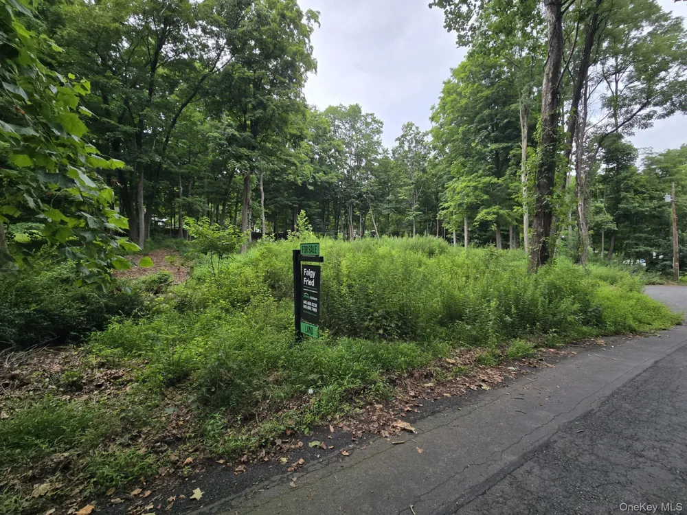 4 Samego Court Suffern, NY 10901