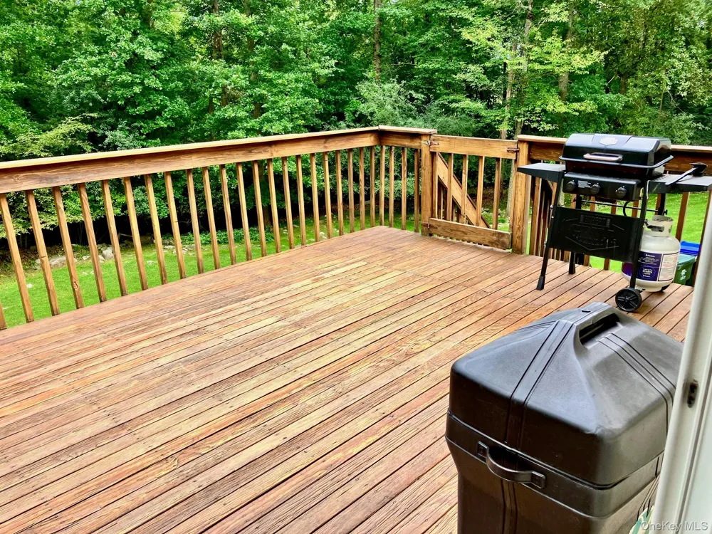 36 Carpenter Road New Hampton, NY 10958