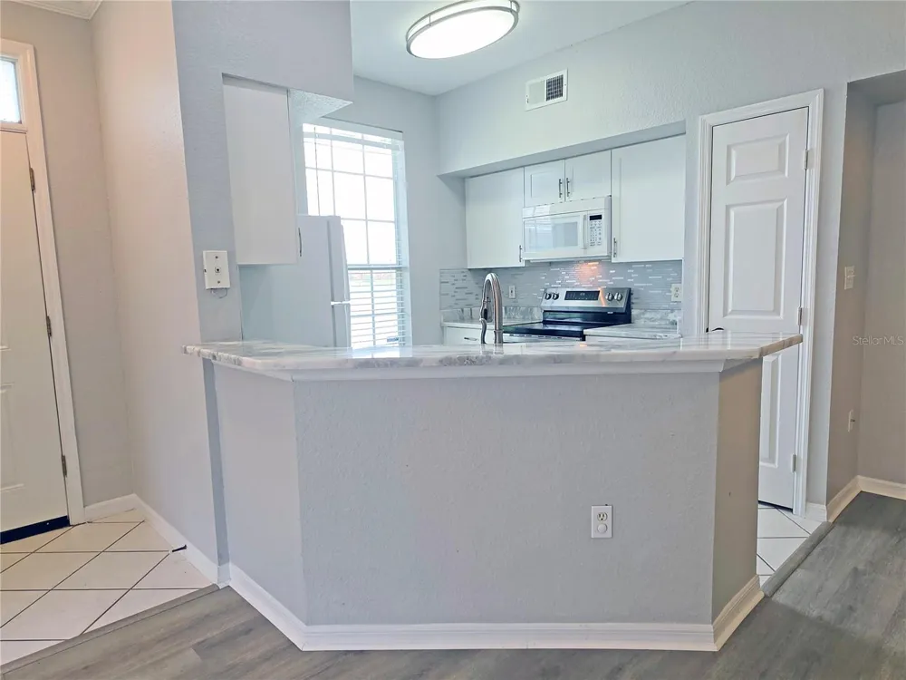 9018 LAKE CHASE ISLAND WAY #9018 Tampa, FL 33626