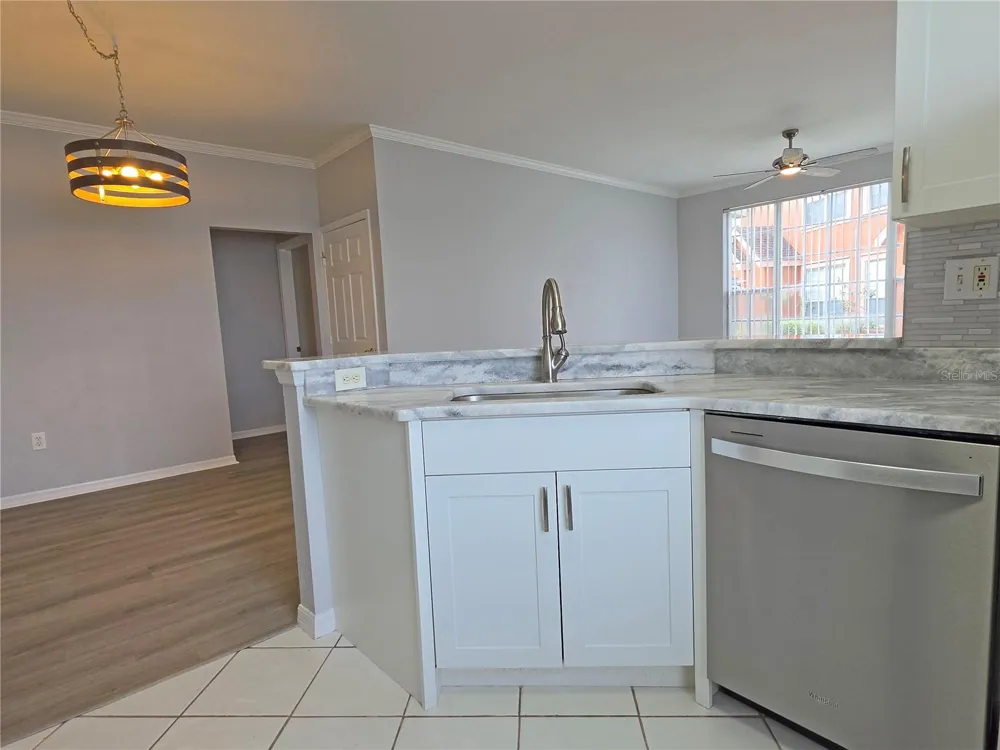 9018 LAKE CHASE ISLAND WAY #9018 Tampa, FL 33626