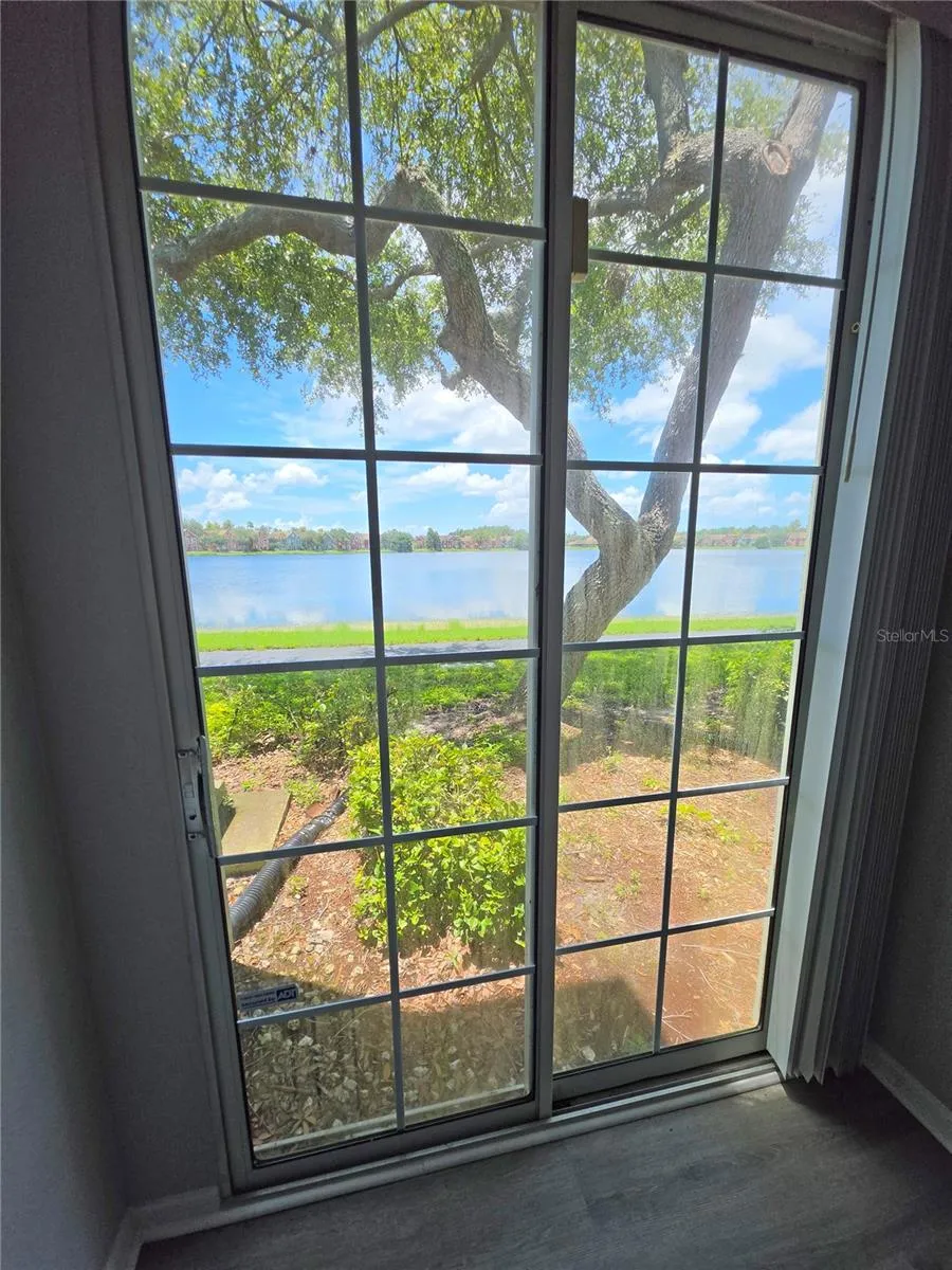 9018 LAKE CHASE ISLAND WAY #9018 Tampa, FL 33626