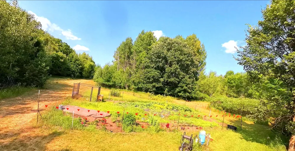 46174B County Highway 35 Vergas, MN 56587