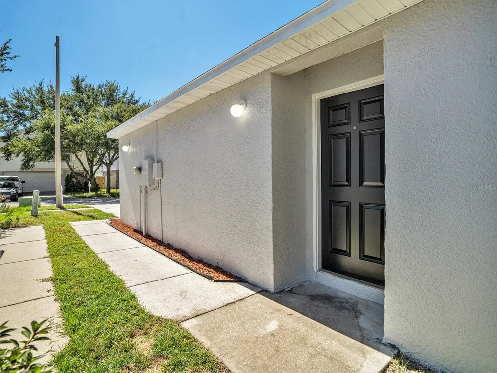 11433 IVY FLOWER LOOP Riverview, FL 33578