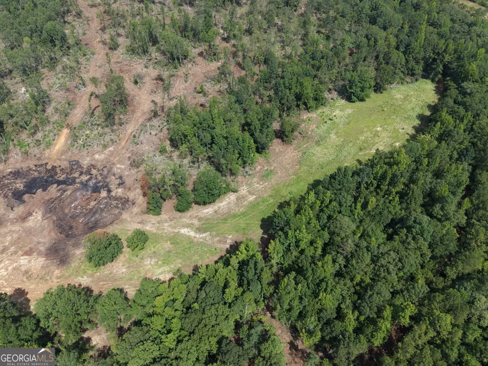 0 Highway 57 Mcintyre, GA 31054