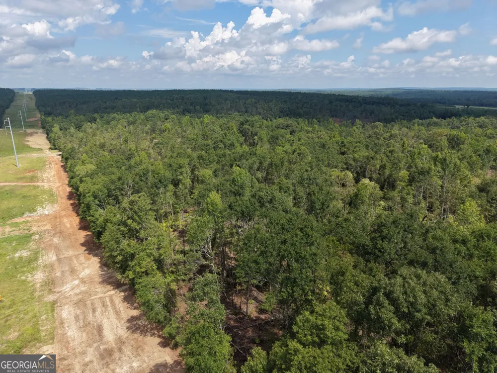 0 Highway 57 Mcintyre, GA 31054