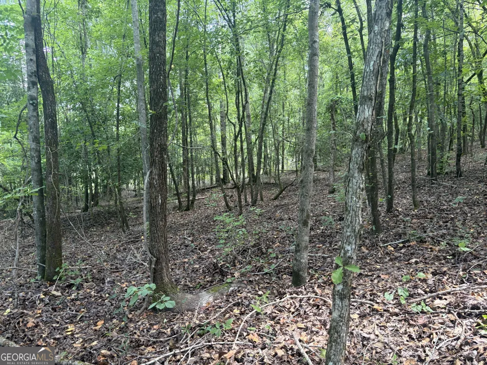 0 Highway 57 Mcintyre, GA 31054