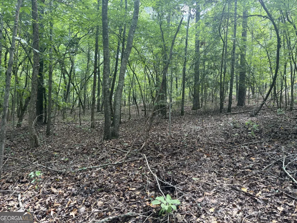 0 Highway 57 Mcintyre, GA 31054