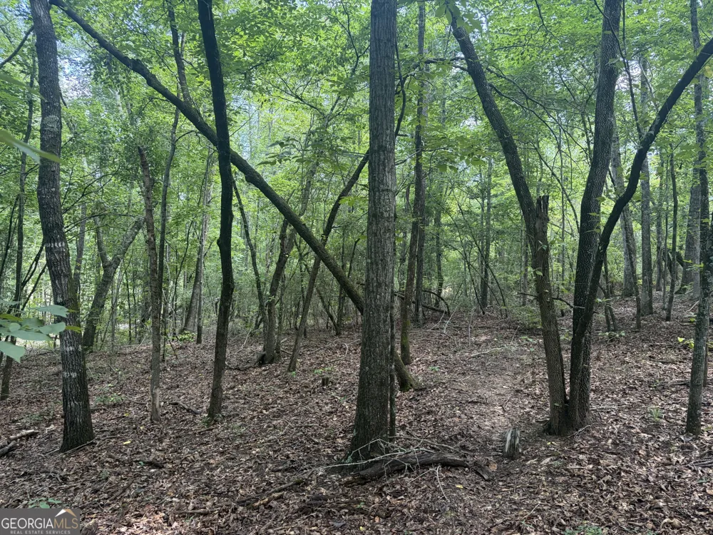 0 Highway 57 Mcintyre, GA 31054