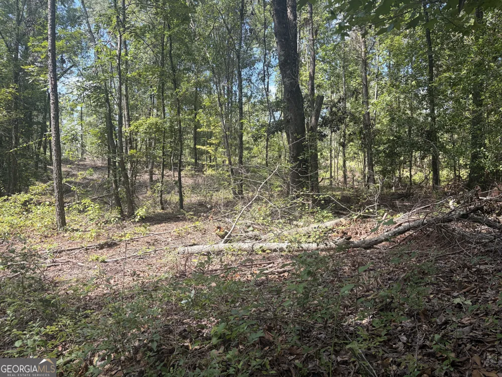 0 Highway 57 Mcintyre, GA 31054