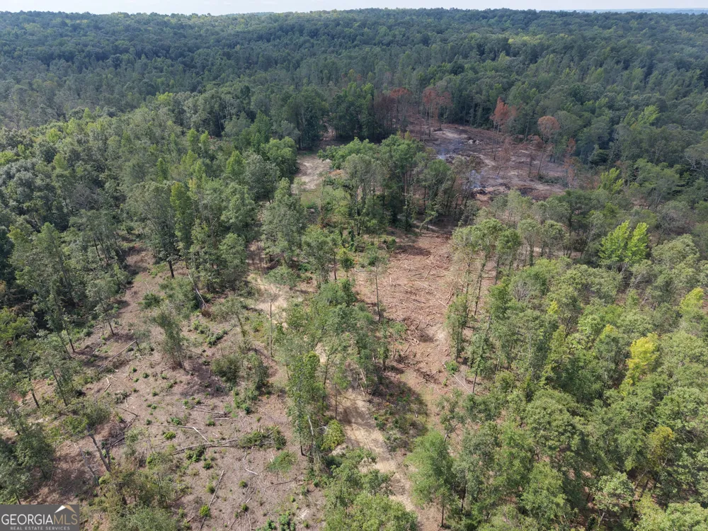 0 Highway 57 Mcintyre, GA 31054