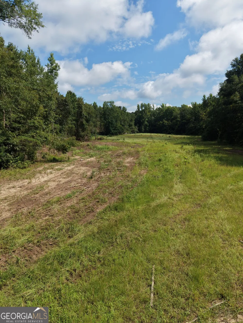0 Highway 57 Mcintyre, GA 31054