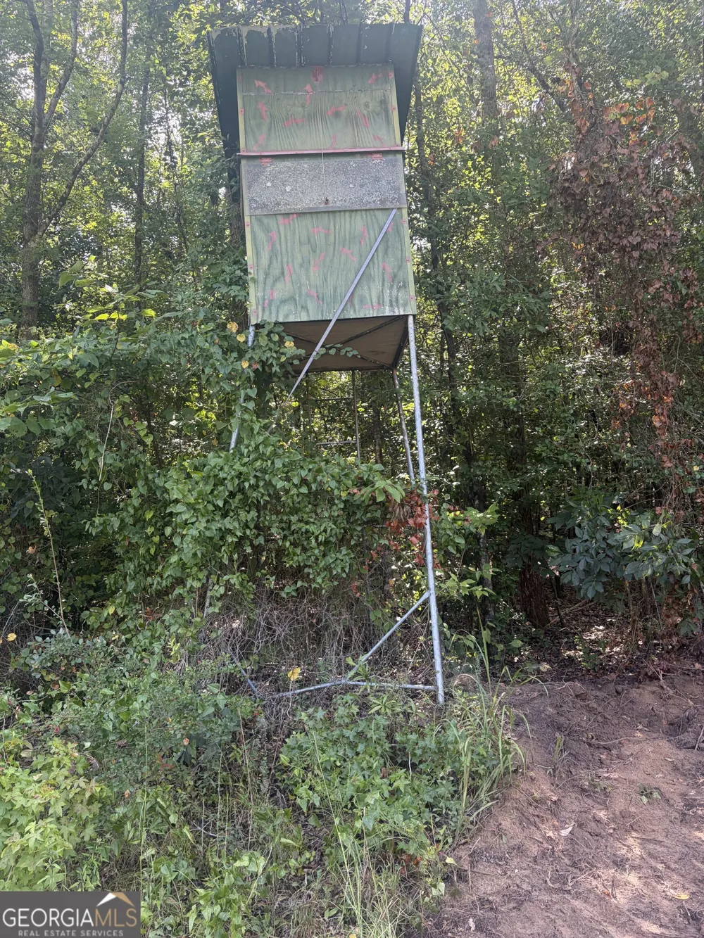 0 Highway 57 Mcintyre, GA 31054