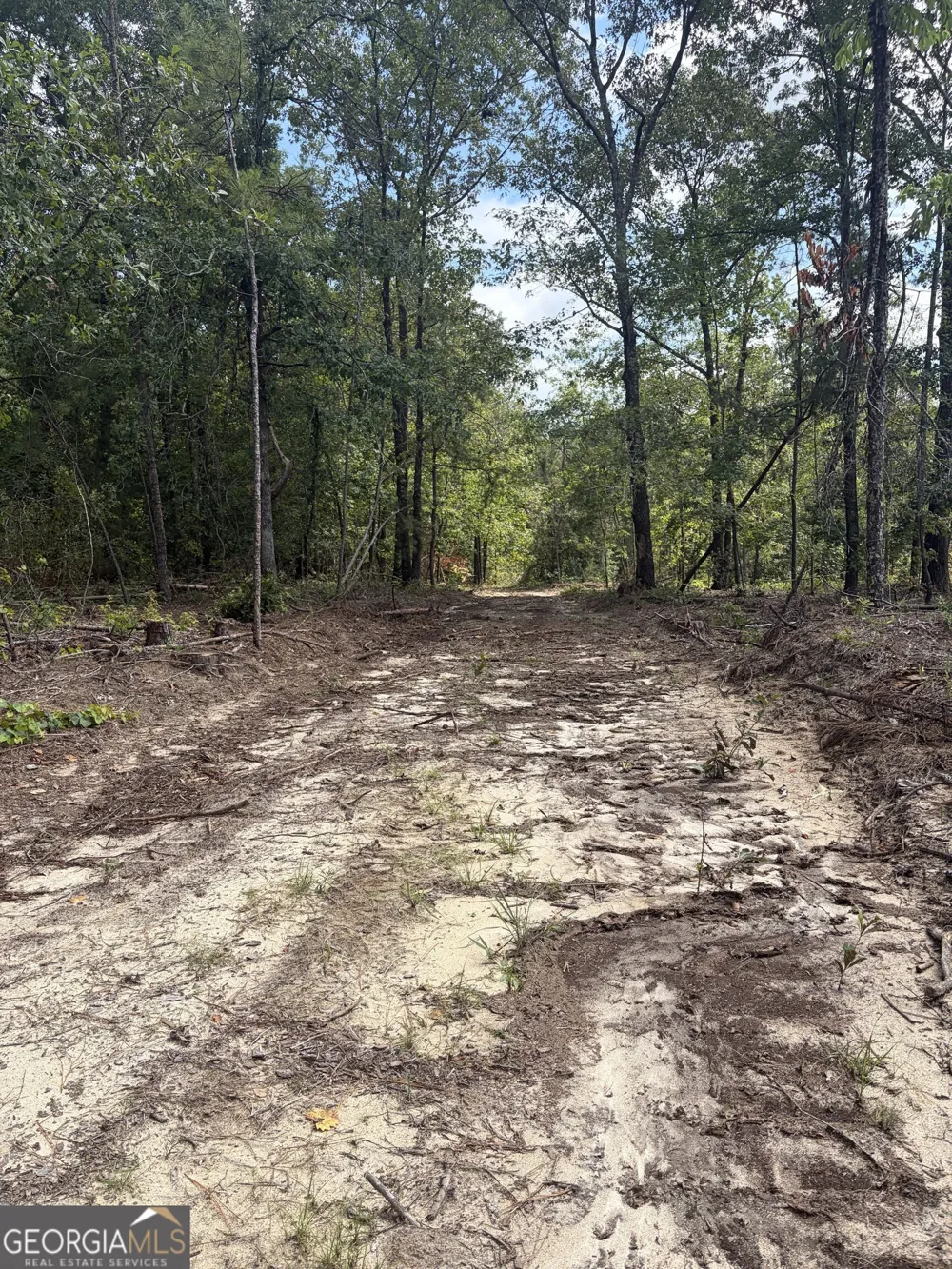 0 Highway 57 Mcintyre, GA 31054