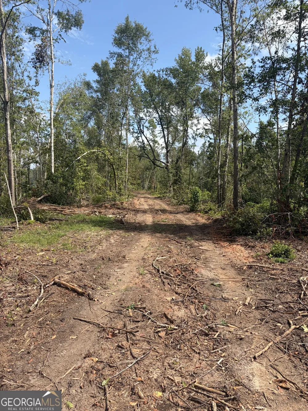 0 Highway 57 Mcintyre, GA 31054