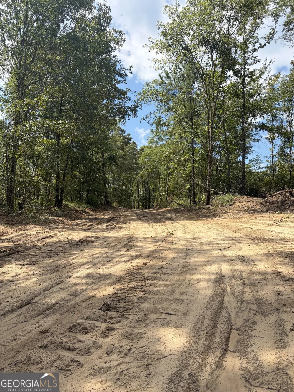 0 Highway 57 Mcintyre, GA 31054