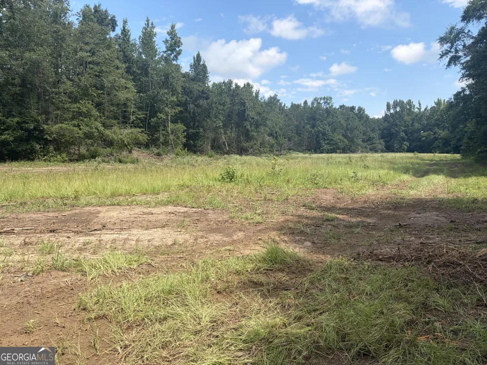 0 Highway 57 Mcintyre, GA 31054