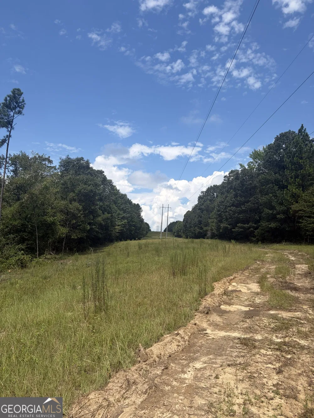 0 Highway 57 Mcintyre, GA 31054