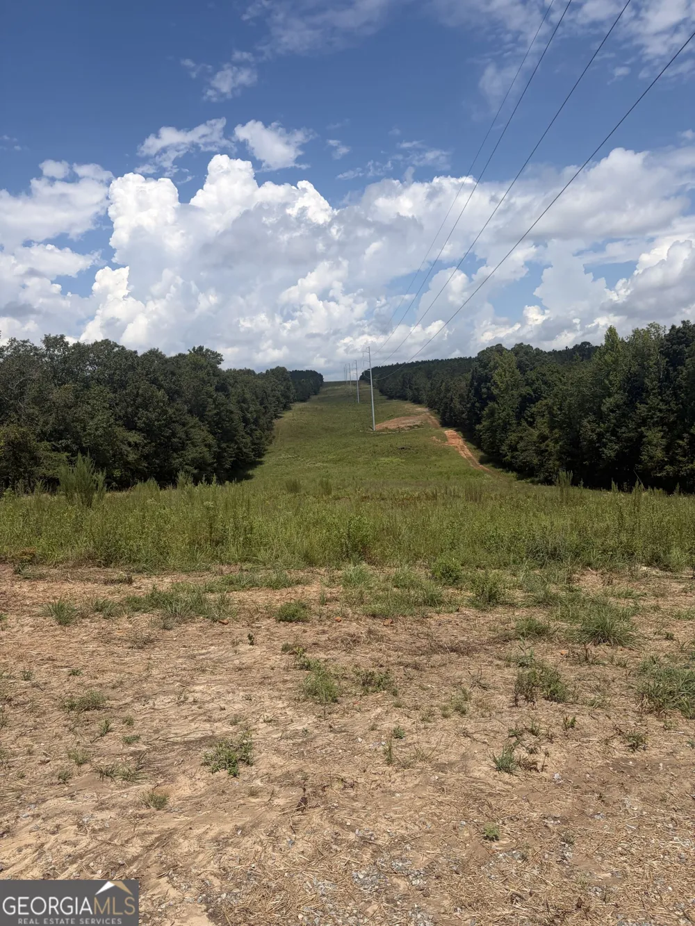 0 Highway 57 Mcintyre, GA 31054