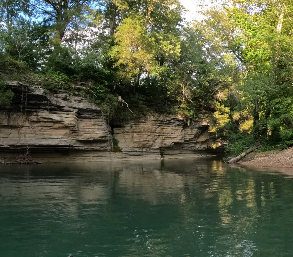 5923 Old Hohenwald Rd Linden, TN 37096