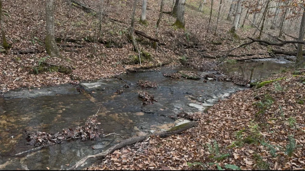 5923 Old Hohenwald Rd Linden, TN 37096