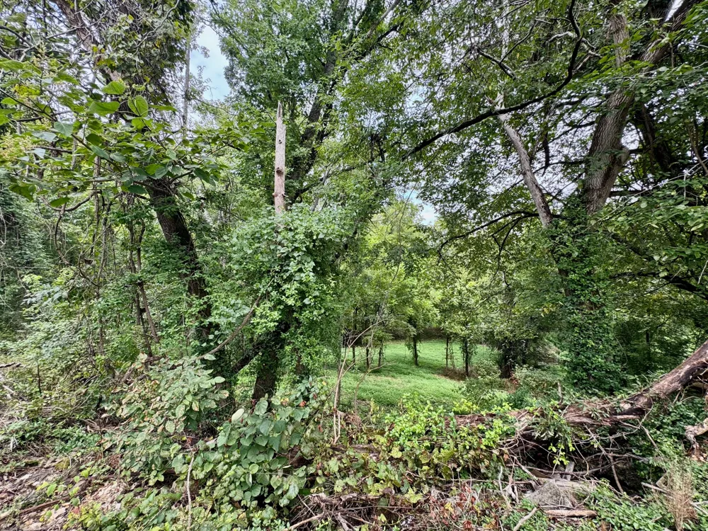 1613 Shipley Rd Cookeville, TN 38501