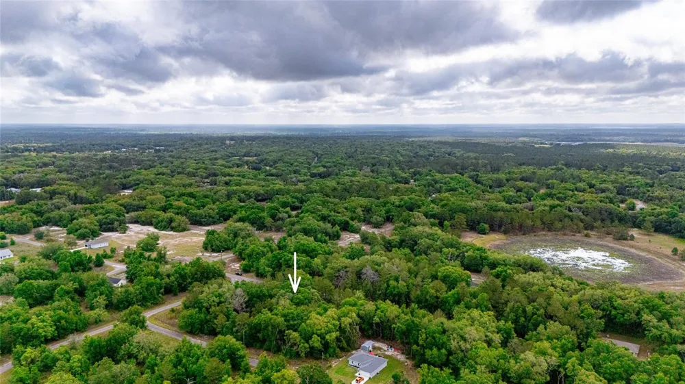 TBD MAGNOLIA DRIVE Ocklawaha, FL 32179