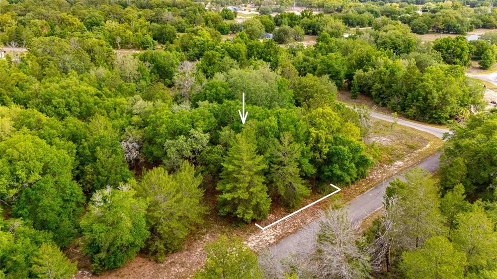 TBD MAGNOLIA DRIVE Ocklawaha, FL 32179