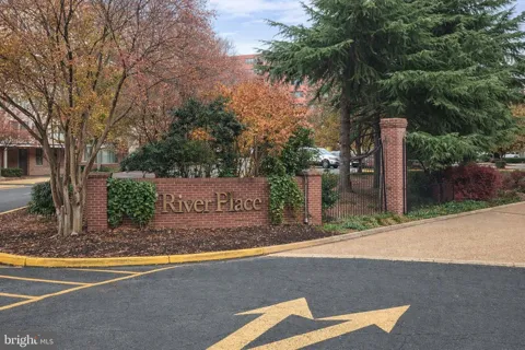 1121 ARLINGTON BOULEVARD #703