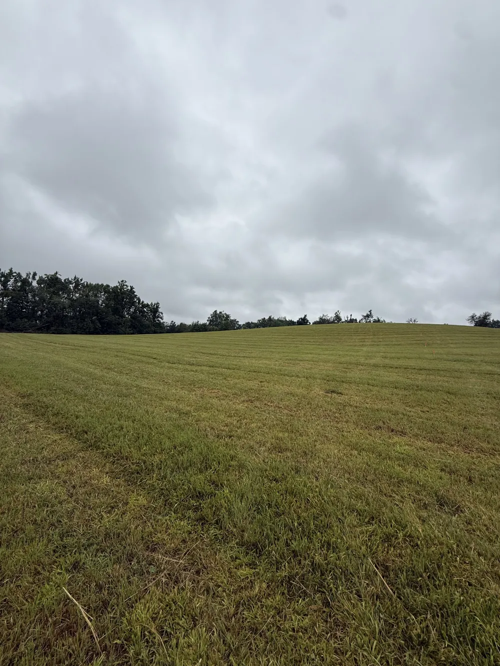 0 Rock Bridge Rd Bethpage, TN 37022