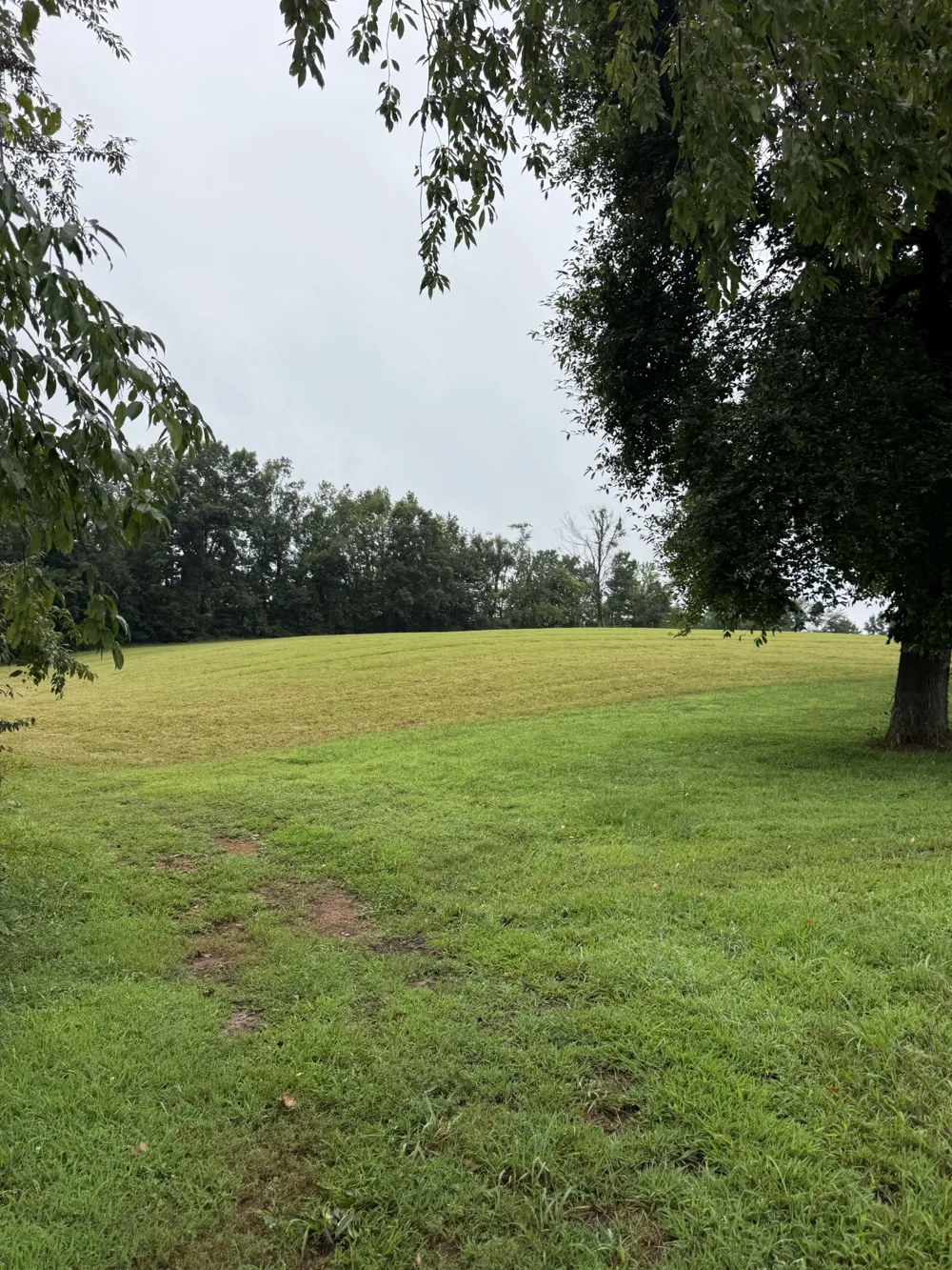 0 Rock Bridge Rd Bethpage, TN 37022