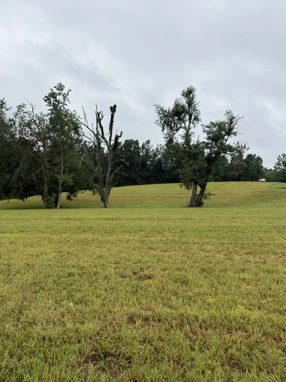 0 Rock Bridge Rd Bethpage, TN 37022